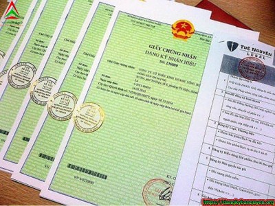 Dịch vụ đăng ký bản quyền thương hiệu Quận 9