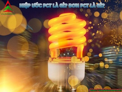 Hiệp ước PCT là gì? đơn PCT là gì và có được phân loại thế nào?